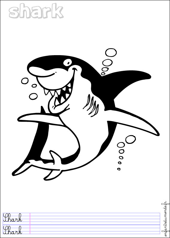 coloriage requin 1